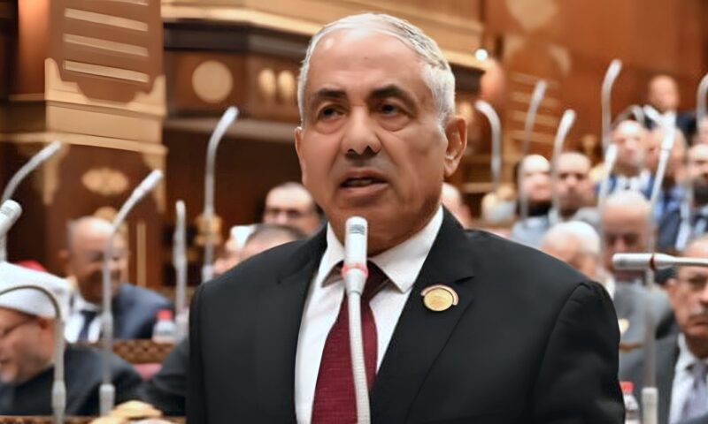 وكيل الشيوخ يشيد بجولة الرئيس السيسي الآسيوية.. ويؤكد: تحرك إستراتيجي لتوسيع التعاون