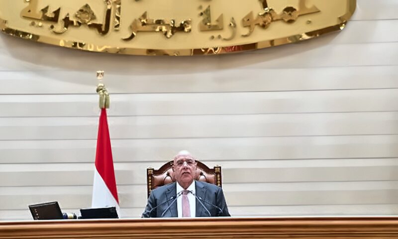 النواب يحذف المادة 25 من قانون جامعة كيان بعد اعتراض الرئيس السيسي