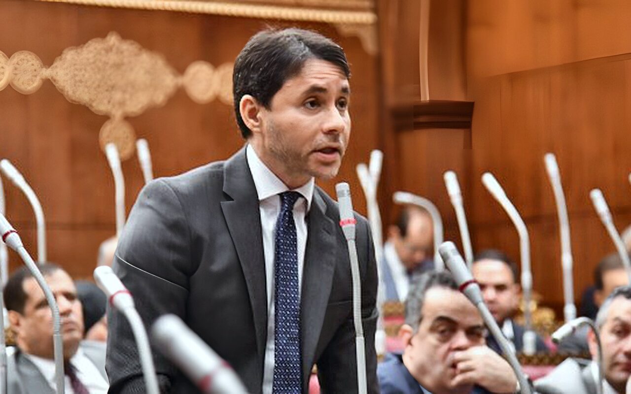 وكيل خارجية الشيوخ: تضامن الشعب المصري مع السعودية يجسد عمق العلاقات الأخوية