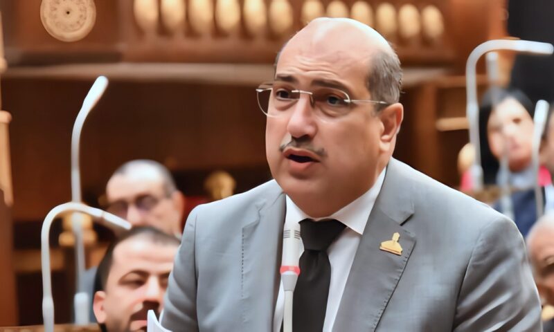 نائب: منتدى مصر 2026 محطة مهمة في مسار الحوار الوطني حول مستقبل التنمية