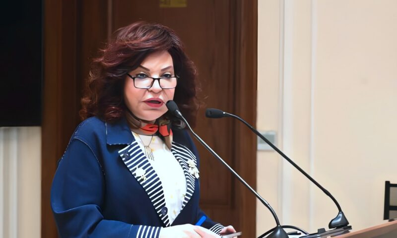نائبة: إعفاءات سيارات «تحيا مصر» خطوة لدعم تشغيل الشباب