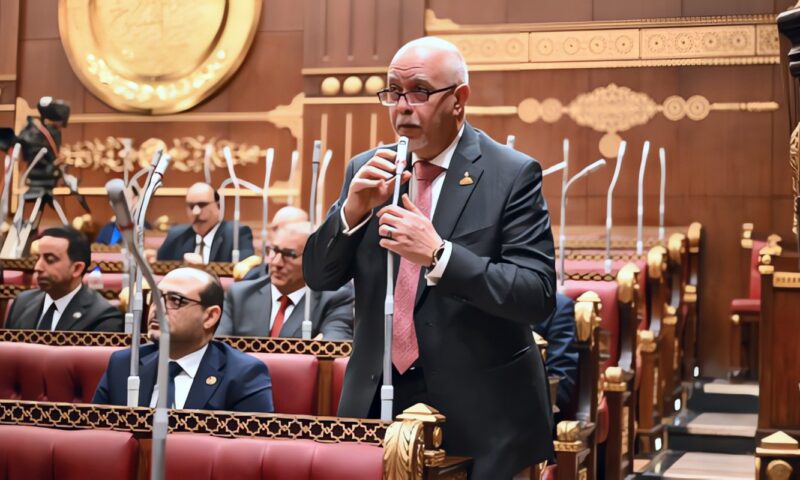 نائب: تحويل توصيات منتدى مصر الاقتصادية إلى إجراءات عملية ضرورة لدفع الاستثمار