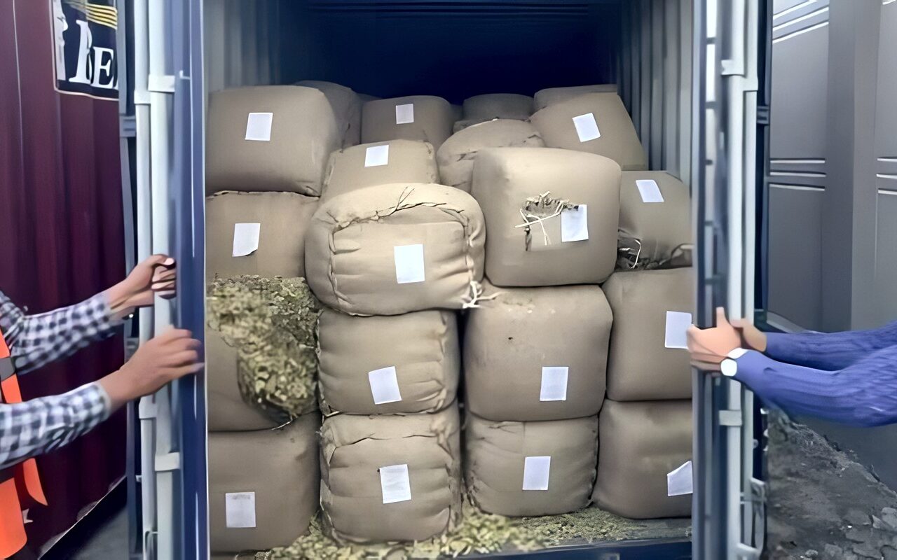 متى يتم الحكم بمصادرة البضائع المهربة طبقا للقانون؟