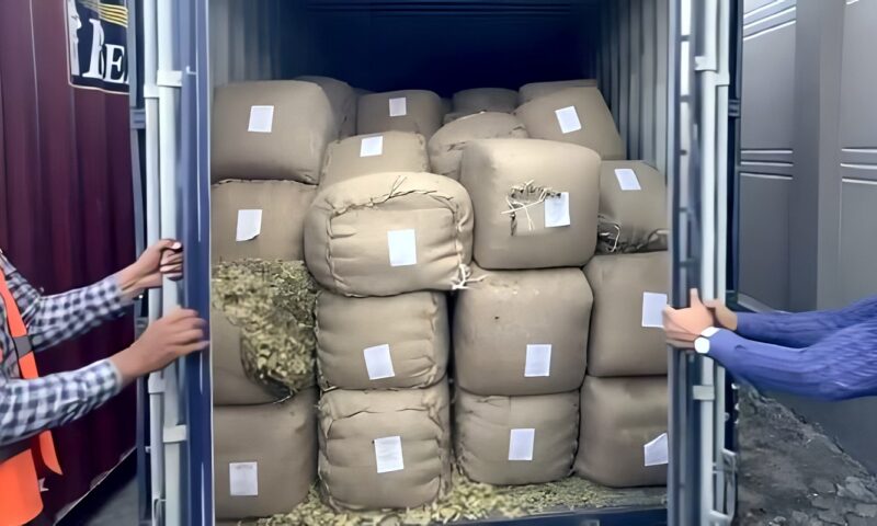 متى يتم الحكم بمصادرة البضائع المهربة طبقا للقانون؟