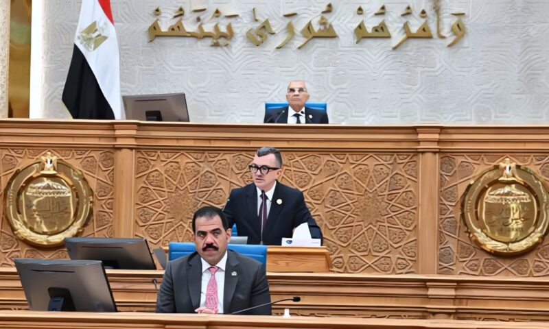وزير التخطيط أمام الشيوخ: نتعلم من أخطاء الماضي.. وخطة لإعادة هيكلة بنك الاستثمار القومي