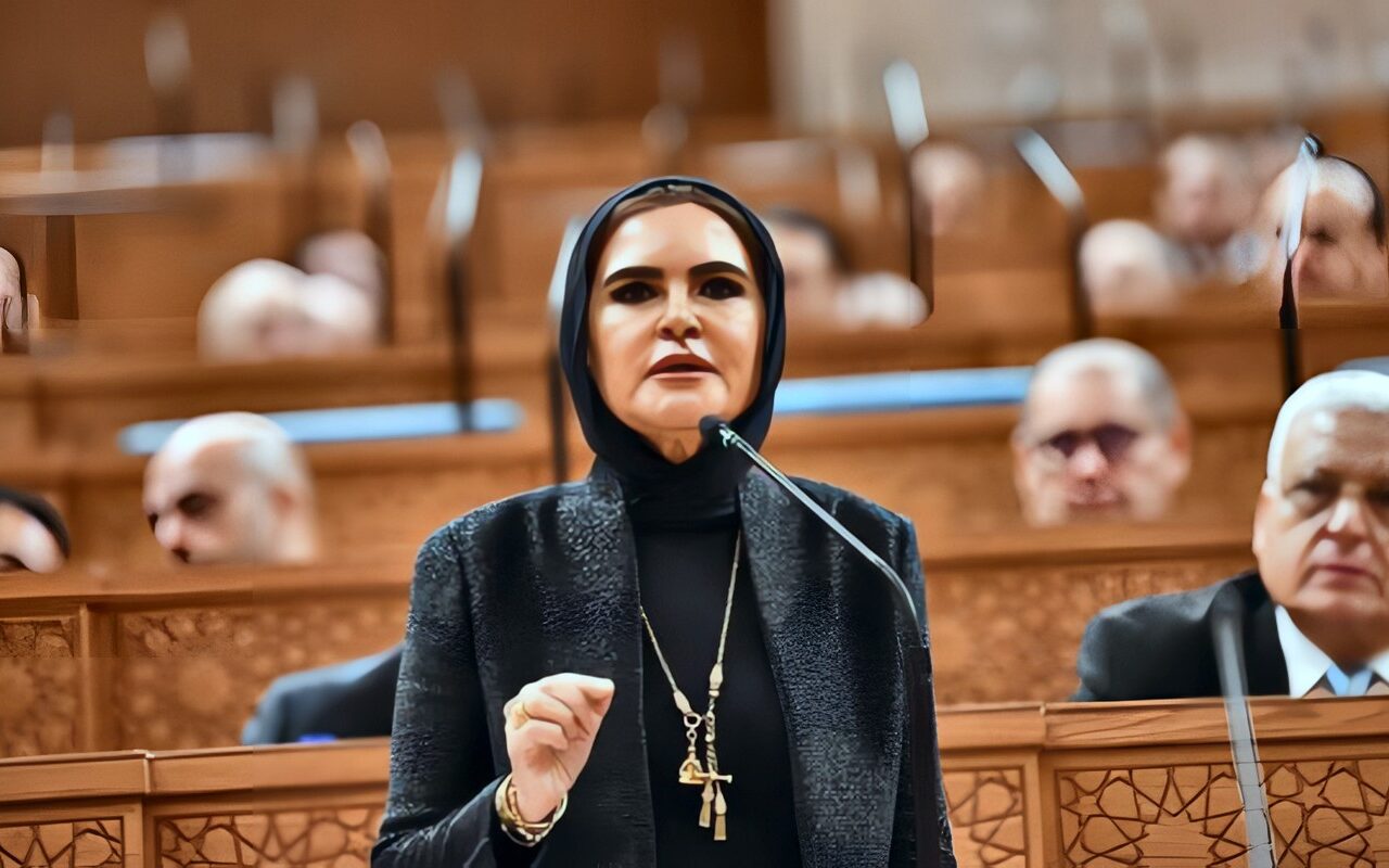 سحر نصر تستعرض مهام بنك الاستثمار القومي أمام الشيوخ