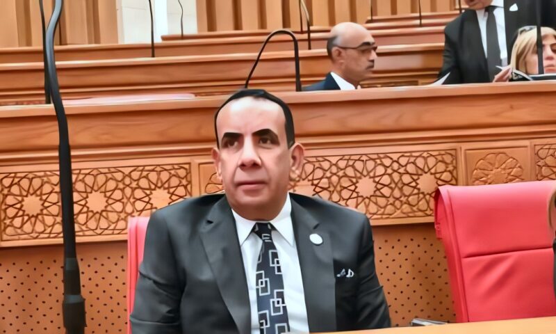 برلماني: البطل الرياضي يحتاج إلى الدعم المادي وتوفير دخل شهري له