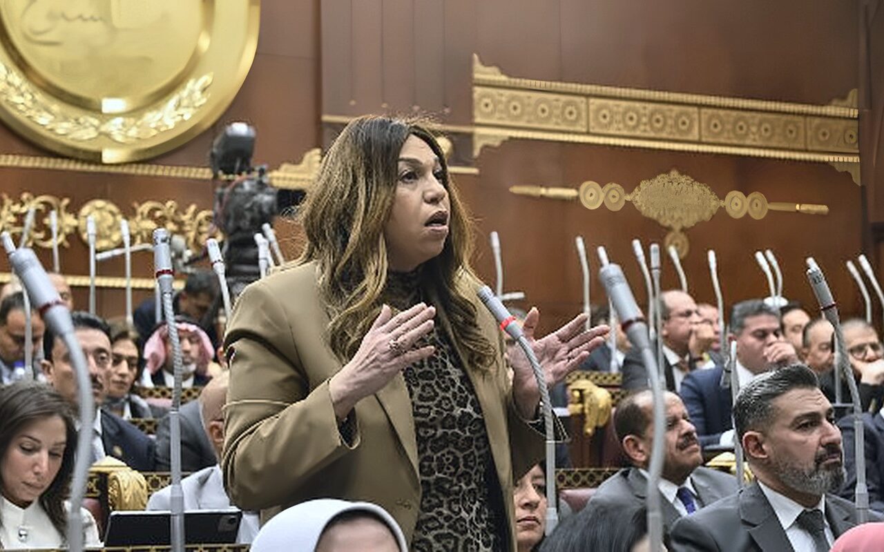 أماني فاخر وكيلا للجنة الشئون المالية والاقتصادية بمجلس الشيوخ