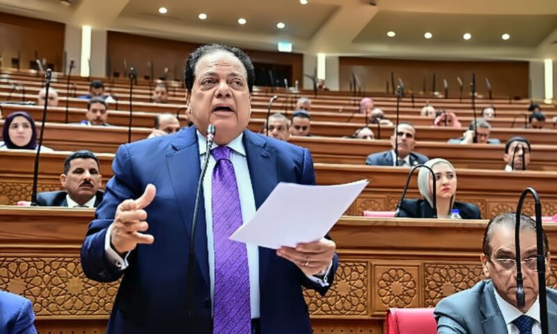 محمد أبو العينين: حذف المادة 25 يحمي جامعة كيان من الإشكاليات والطعون الدستورية