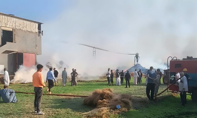 اللحظات الأولى لاندلاع حريق هائل داخل مصنع كتان ميت حبيب في الغربية (فيديو)