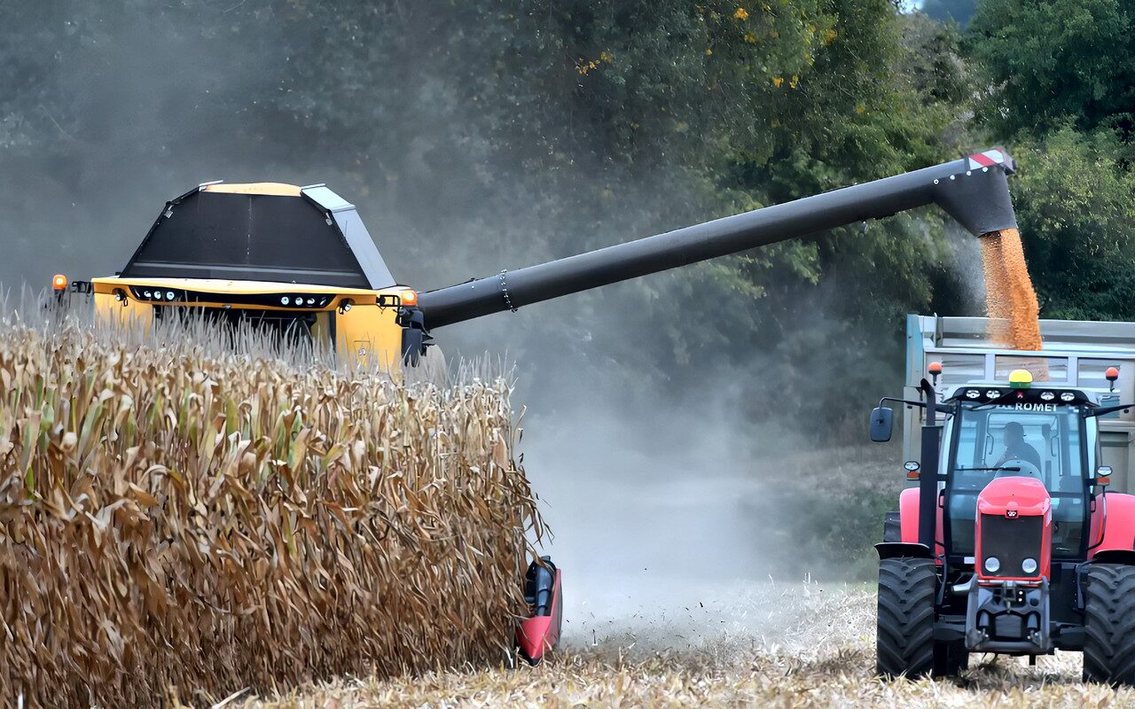 صادرات روسيا البحرية من الحبوب تهبط 61.9% في سبتمبر