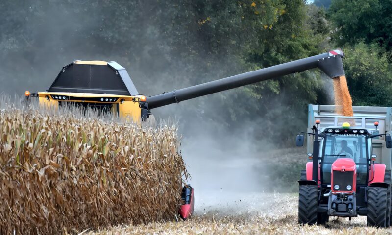 صادرات روسيا البحرية من الحبوب تهبط 61.9% في سبتمبر