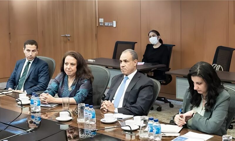 وزير الخارجية يبحث مع رئيس بنك التصدير والاستيراد التايلاندي دعم الاستثمارات والتوسع في إفريقيا
