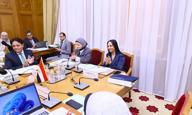 مايا مرسي تترأس أعمال الدورة العادية الـ 84 لمجلس وزراء التضامن العرب