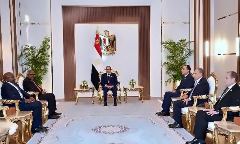 شريك رئيسي في التنمية.. الرئيس السيسي يؤكد حرص مصر على تعزيز دور القطاع الخاص الأفريقي
