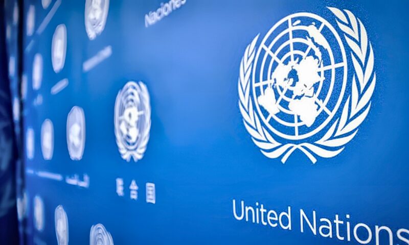الأمم المتحدة: أفريقيا تمتلك إمكانات كبيرة وفرصاً استثمارية واعدة