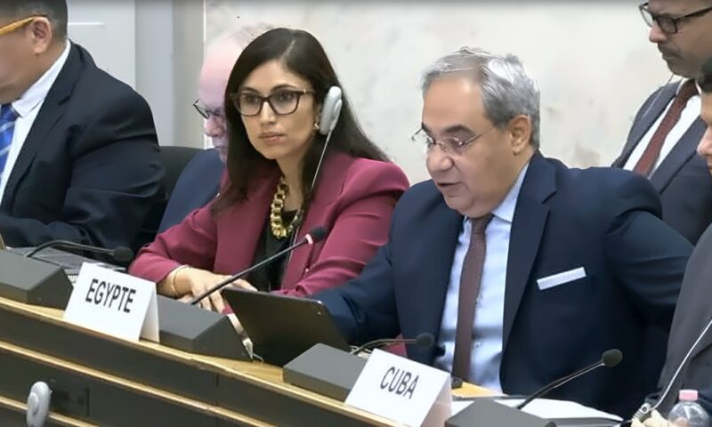 مصر تقود مبادرة لاعتماد أول قرار بمجلس حقوق الإنسان حول الذكاء الاصطناعي