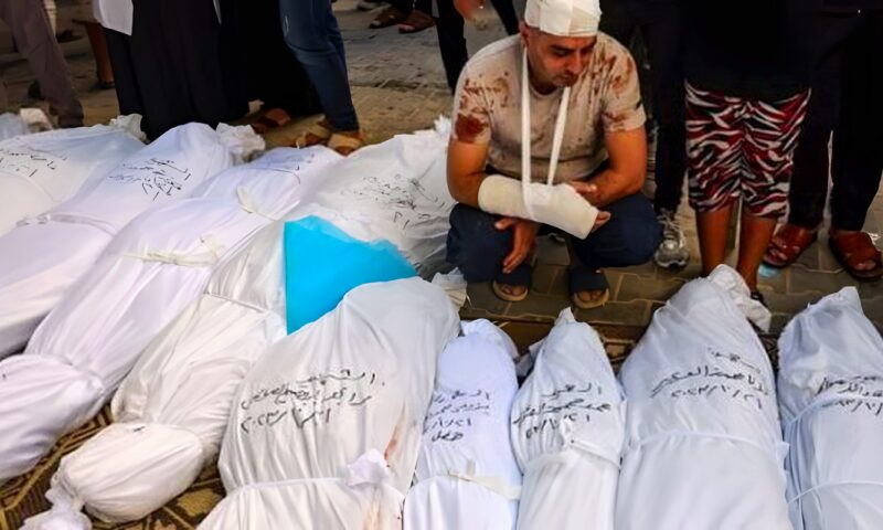 الصحة الفلسطينية: ارتفاع حصيلة الشهداء بقطاع غزة إلى 74382 شهيدا و175416 مصابا