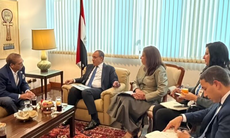 وزير الخارجية يلتقي الرئيس التنفيذي لإحدى أكبر الشركات التايلندية العاملة بمجال البتروكيماويات في مصر