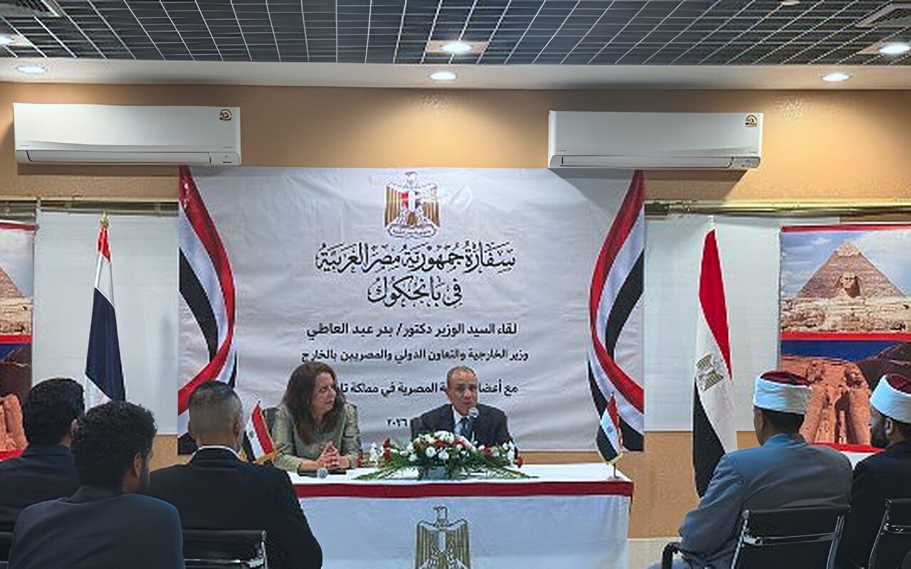 وزير الخارجية: أبناء مصر بالخارج يمثلون امتدادا للوطن