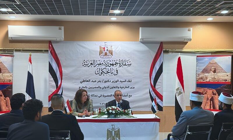 وزير الخارجية: أبناء مصر بالخارج يمثلون امتدادا للوطن