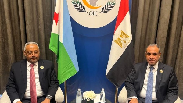 وزير الخارجية يبحث مع نظيره الجيبوتي سبل تعزيز العلاقات الثنائية والتطورات الإقليمية