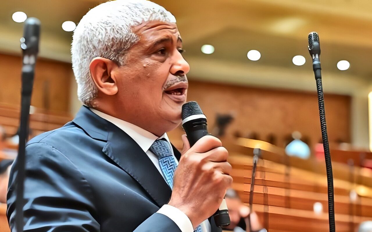 برلماني: منتدى مصر 2026 يمثل ركيزة لترسيخ التنمية المستدامة في كافة المجالات