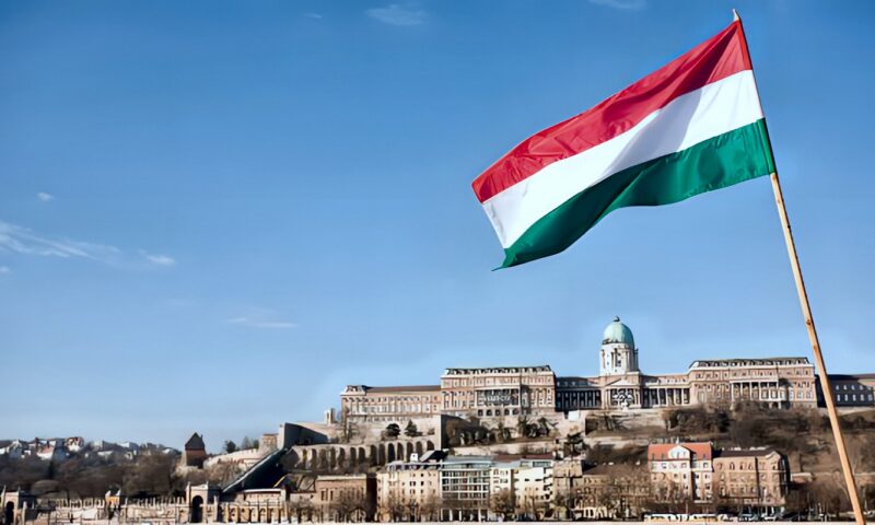 الشرطة المجرية تعتقل محافظ البنك المركزي السابق بتهم فساد