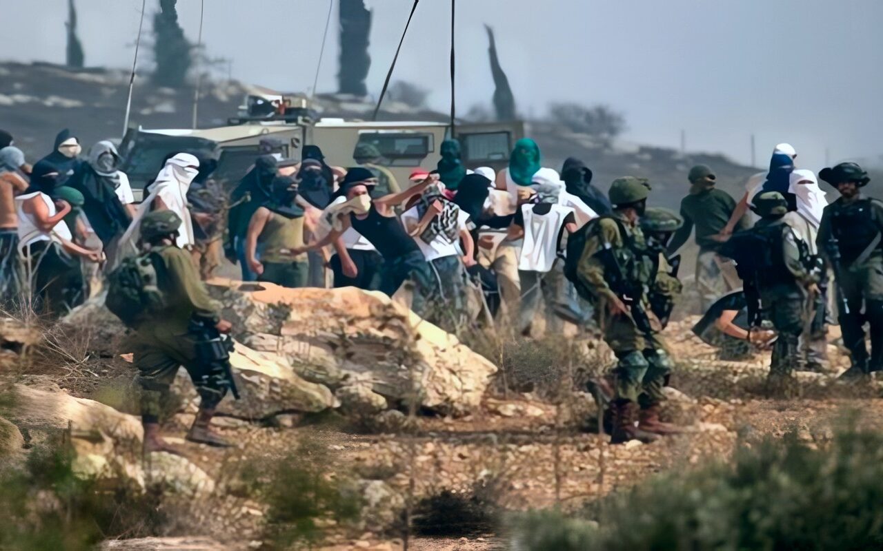 “الجدار والاستيطان” الفلسطينية: 17 اعتداء للاحتلال والمستوطنين على قاطفي الزيتون في 6 محافظات