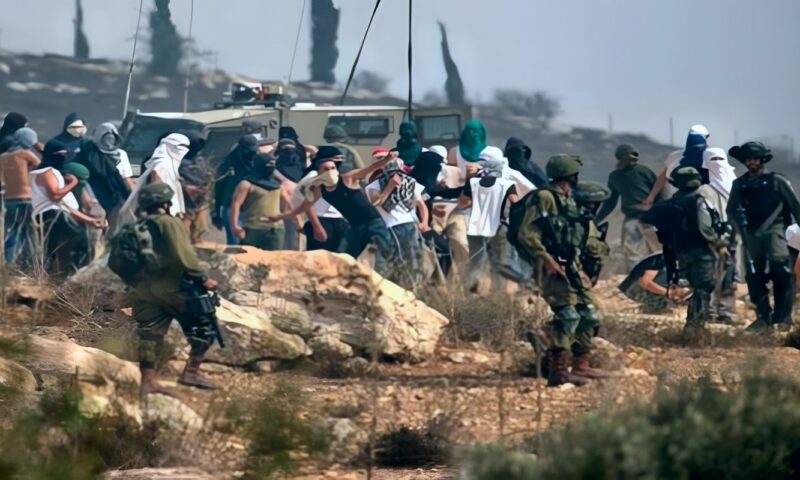 “الجدار والاستيطان” الفلسطينية: 17 اعتداء للاحتلال والمستوطنين على قاطفي الزيتون في 6 محافظات