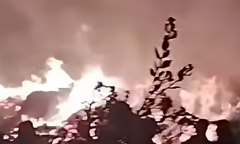 حريق هائل يلتهم أرضا زراعية بمركز سنهور في الفيوم
