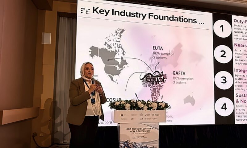 المجلس التصديري للغزل والمنسوجات يستعرض فرص تعزيز تنافسية الصناعة المصرية في أوزبكستان