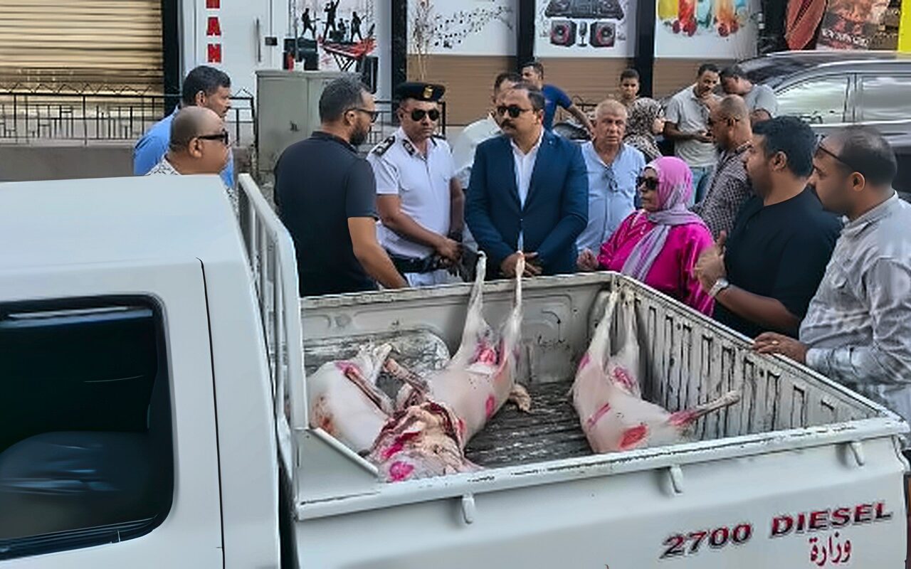 ضبط وإعدام لحوم ومواد غذائية غير صالحة للاستهلاك بالعجوزة