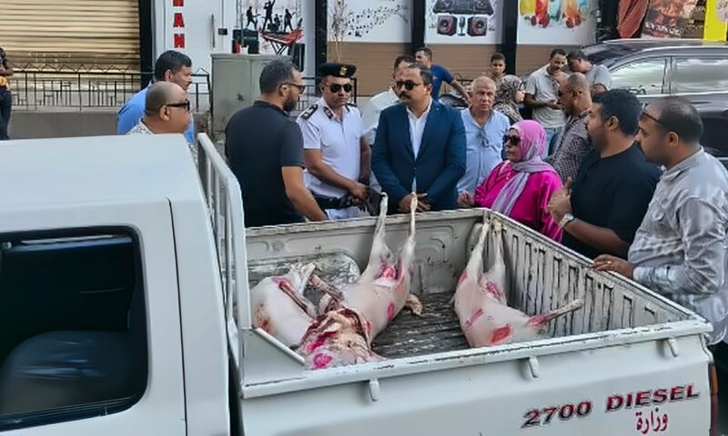 ضبط وإعدام لحوم ومواد غذائية غير صالحة للاستهلاك بالعجوزة