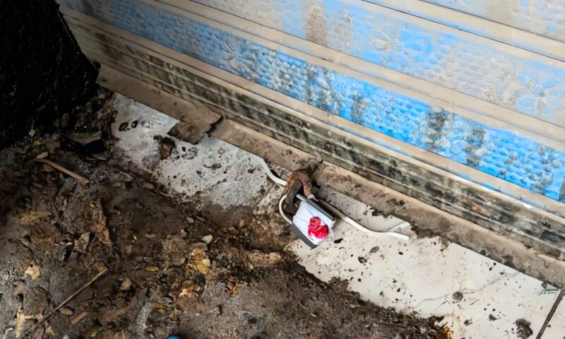 محافظ الجيزة يتابع جهود مركز ومدينة البدرشين في رفع الإشغالات وغلق منشأة غذائية مخالفة