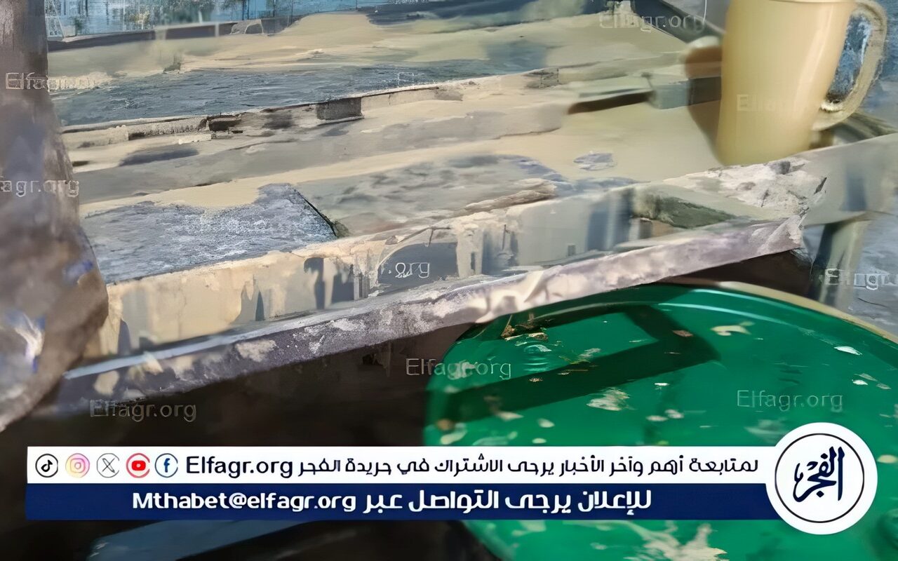 خلال احتفالات مولد السيد البدوي بطنطا.. ضبط طن و800 كيلو حلاوة طحينية وطحينة مشتبه في صلاحيتها