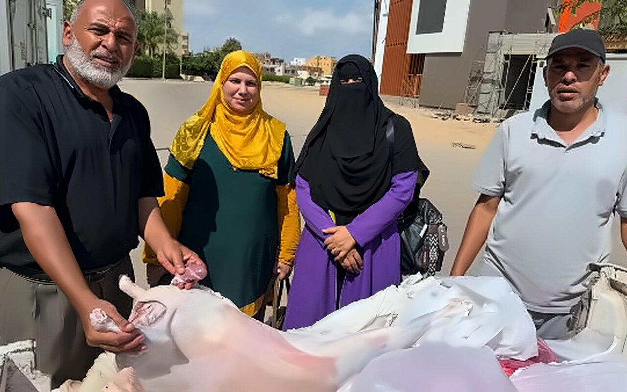 ضبط لحوم ودواجن غير صالحة للاستهلاك الآدمي خلال حملة في المنوفية