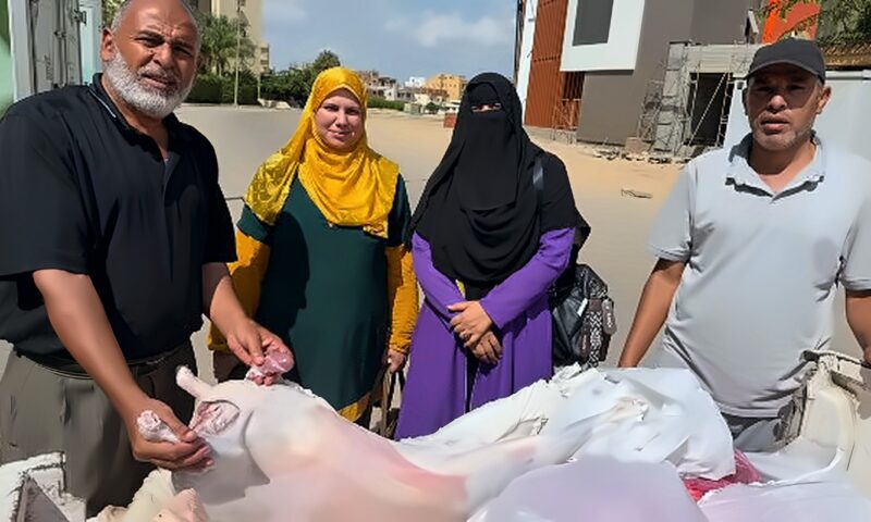 ضبط لحوم ودواجن غير صالحة للاستهلاك الآدمي خلال حملة في المنوفية