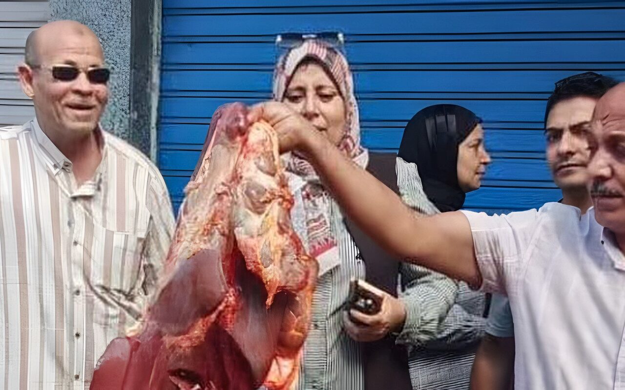 المنوفية: ضبط نصف طن لحوم غير صالحة للاستهلاك وبأختام مزورة بقويسنا