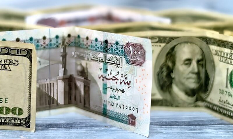 دون تحريك.. سعر الدولار في البنوك الآن