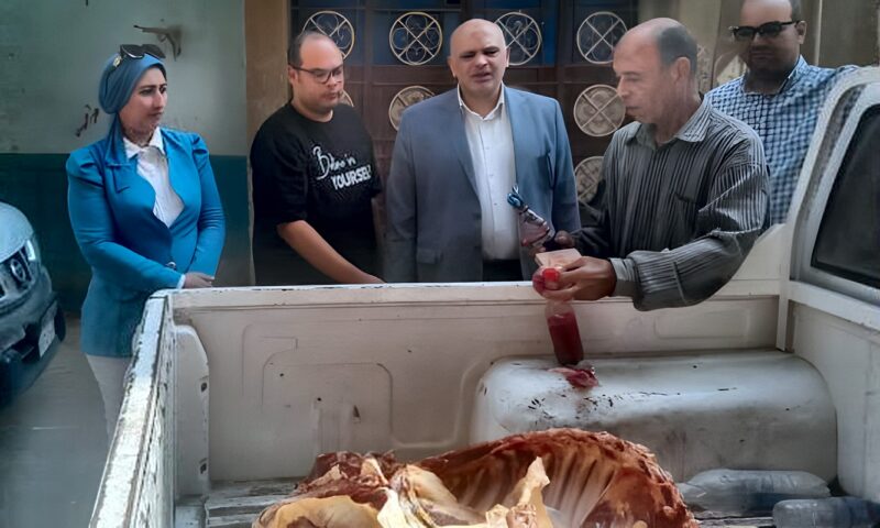 ضبط 300 كيلو لحوم غير صالحة وختم مقلد لأختام المجازر الحكومية ببني سويف