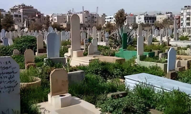 حكم زيارة المقابر وتوزيع الصدقات يوم الجمعة.. دار الإفتاء تجيب