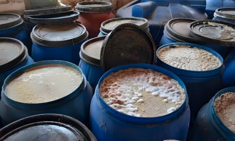 مصادرة طن و650 كيلو مخللات مجهولة المصدر في حملة بالغربية