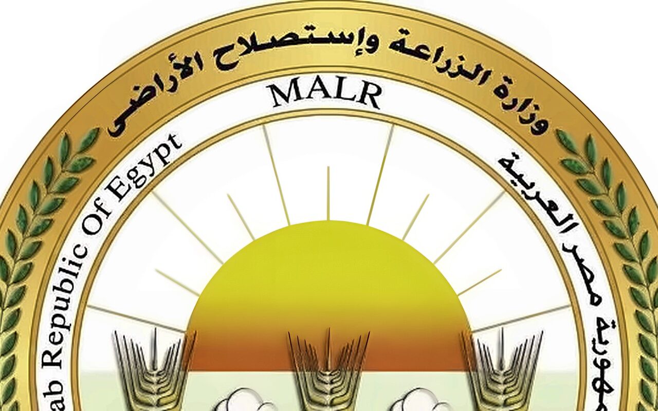 غدا.. بدء حملة موسعة لمكافحة القوارض عقب حصاد المحاصيل الصيفية بالمنيا