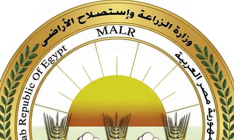 غدا.. بدء حملة موسعة لمكافحة القوارض عقب حصاد المحاصيل الصيفية بالمنيا