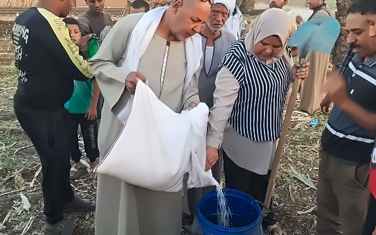 محافظ أسيوط: تدريب المزارعين على إعداد السيلاج بقرى مركز الفتح