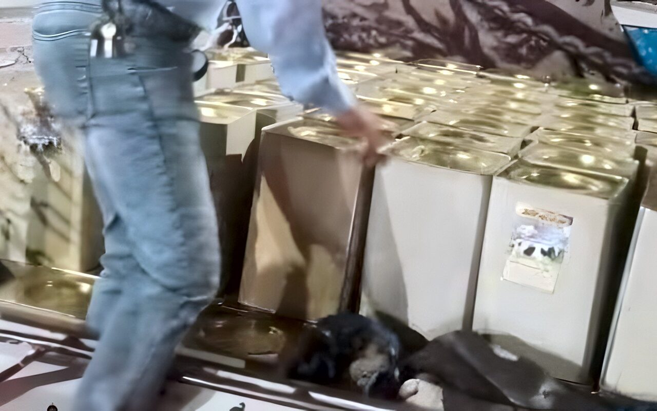 ضبط طن جبنة غير صالحة للاستهلاك الآدمي داخل سيارة ربع نقل بساحل سليم في أسيوط