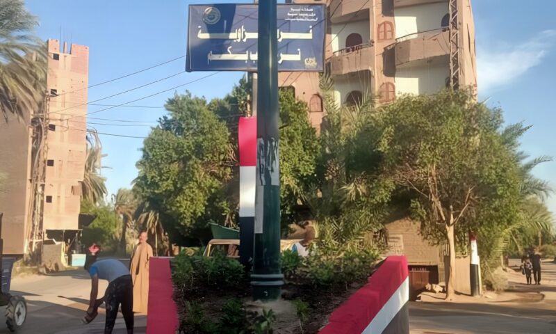 أسيوط.. تجميل وتشجير ورفع كفاءة الشوارع بمدخل قرية الزاوية ضمن مبادرة بلدنا جميلة