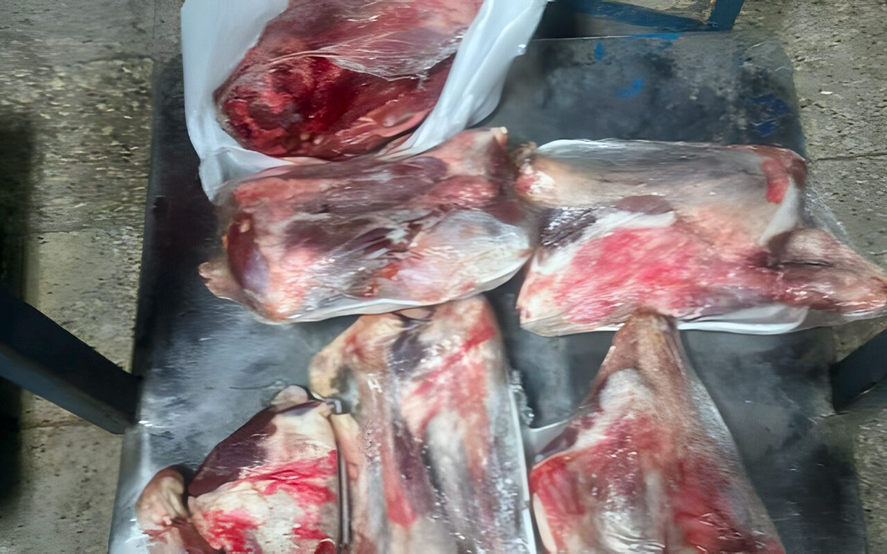محافظ أسيوط: ضبط 241 كجم من اللحوم والدواجن الفاسدة خلال حملات رقابية مكثفة