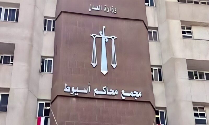 بسبب لهو الأطفال.. السجن 15 عاما لطالب وحبس شقيقه سنة قتـ.لا جارهما بأسيوط
